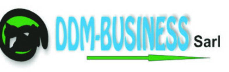 DDM-BUSINESS